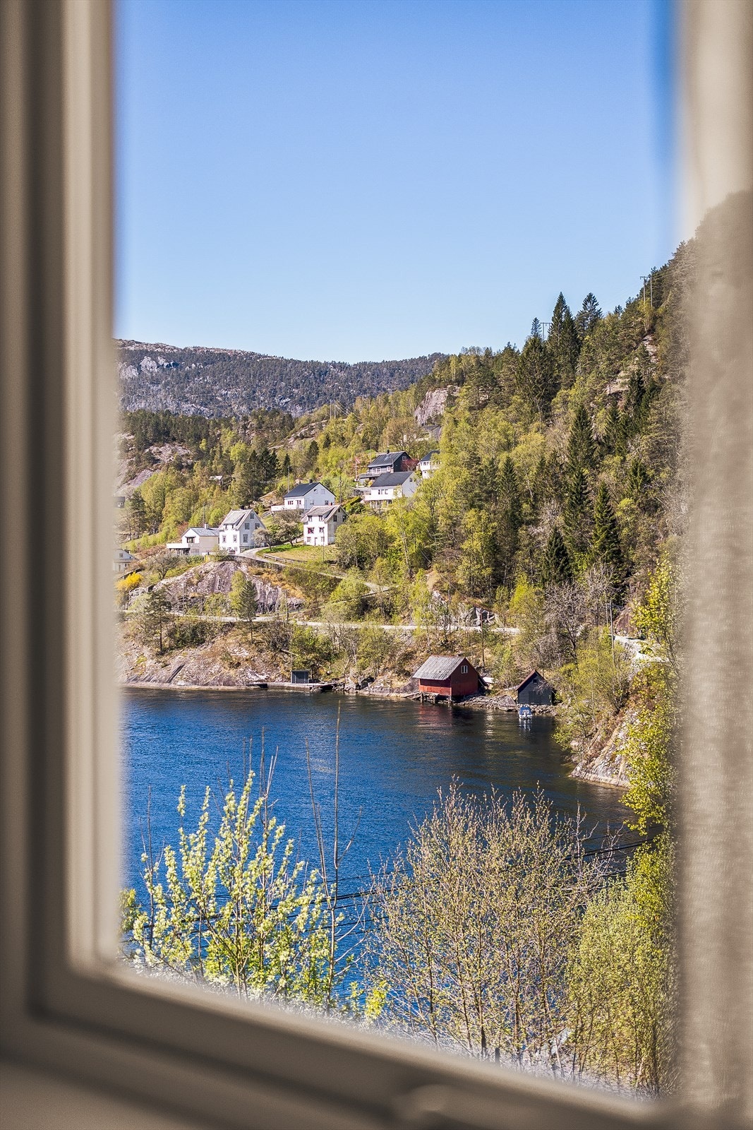Utsikt mot det etablerte og hyggelige nabolaget. Galleribilde