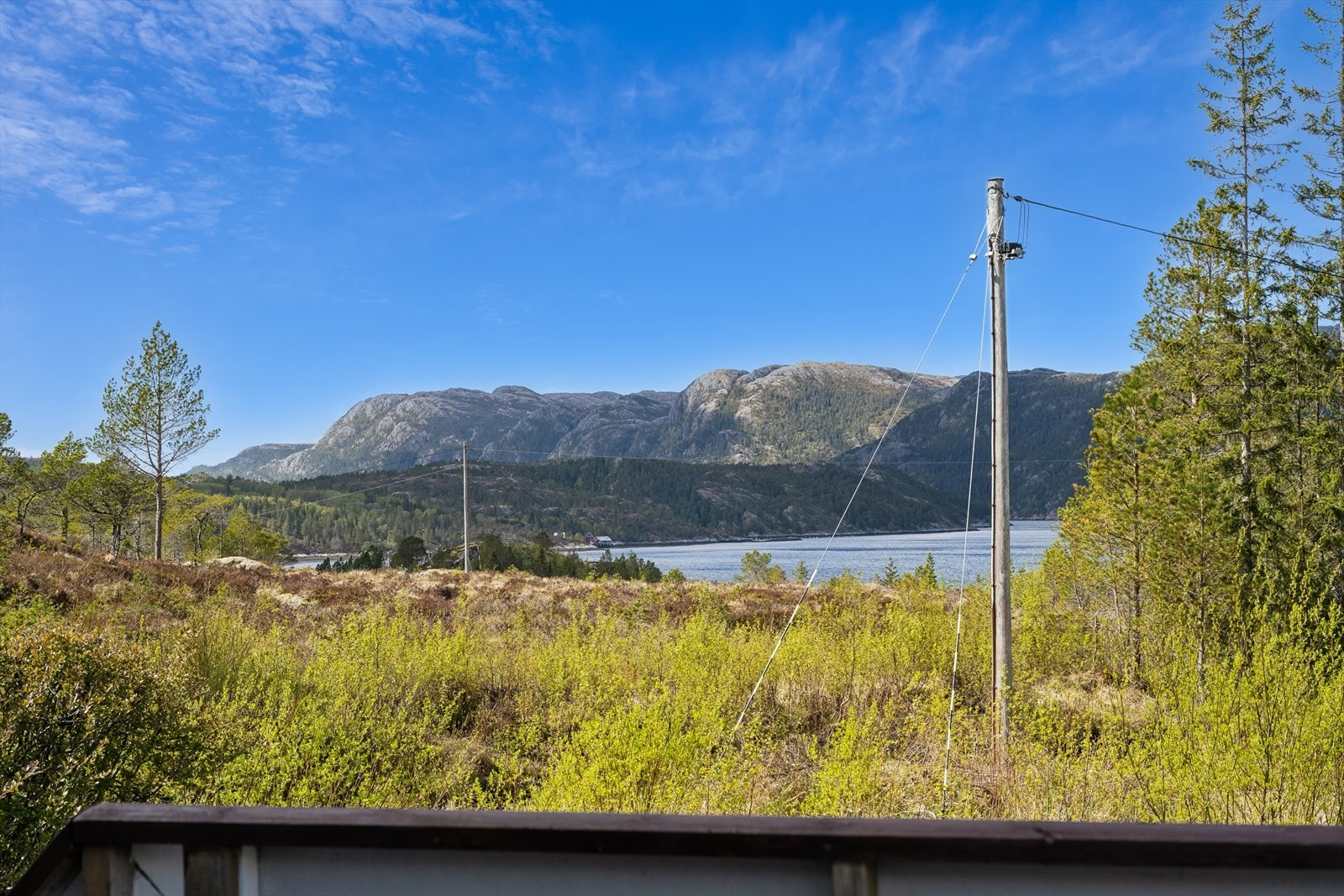 Utsikt ut mot nærområde. Galleribilde