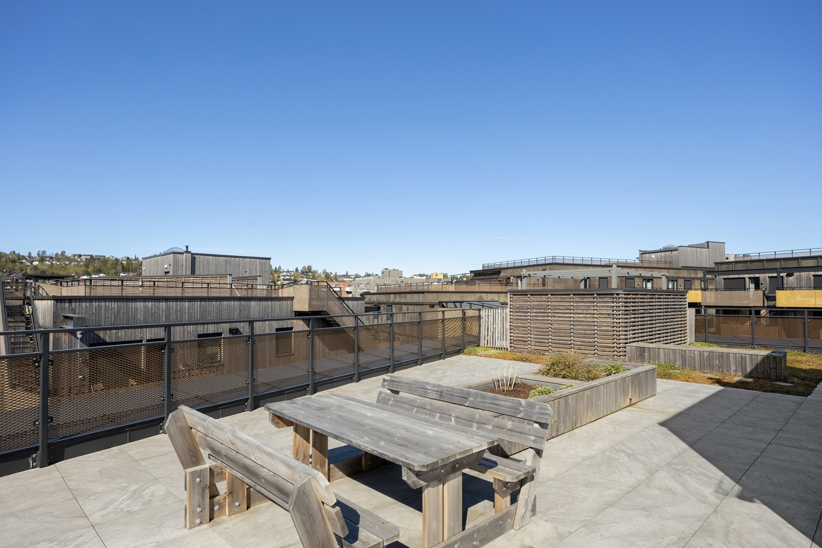 Felles takterrasse. Galleribilde