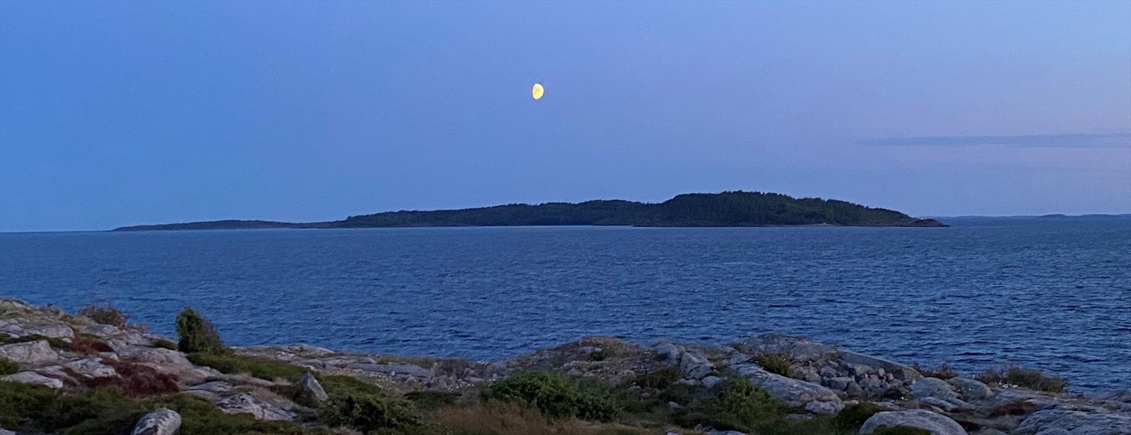 Ser dette interessant ut, ta gjerne kontakt med megler. Galleribilde