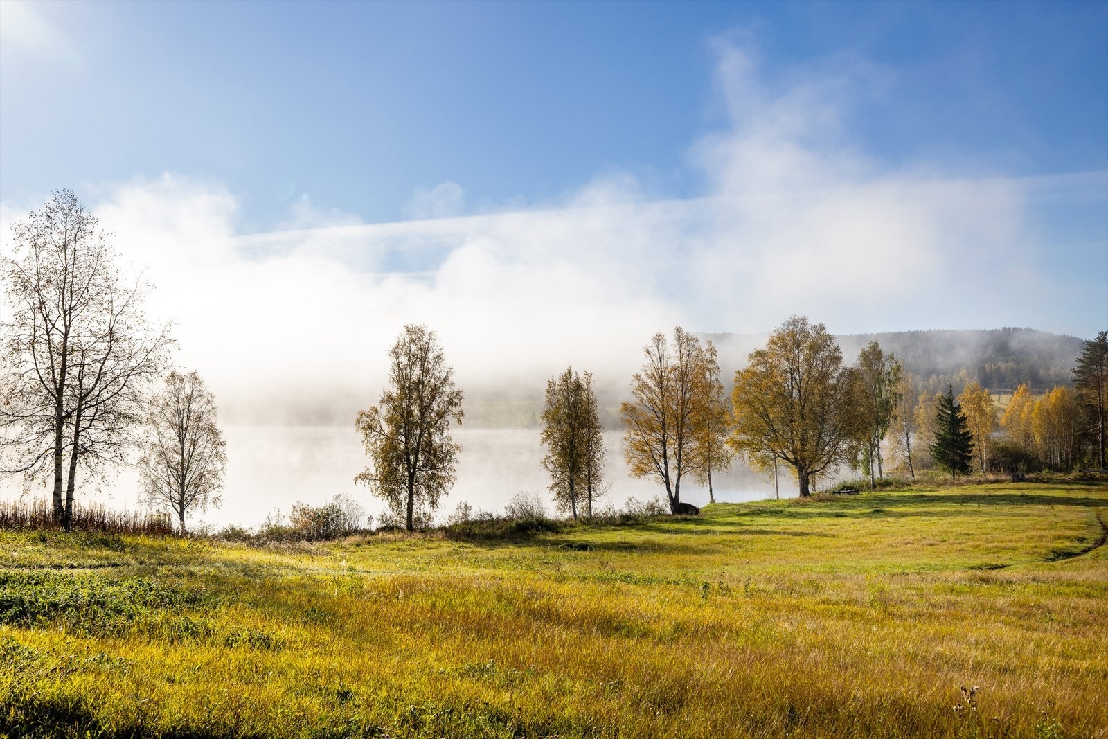 Nærområdet er preget av åpent landskap og naturskjønne omgivelser. Galleribilde