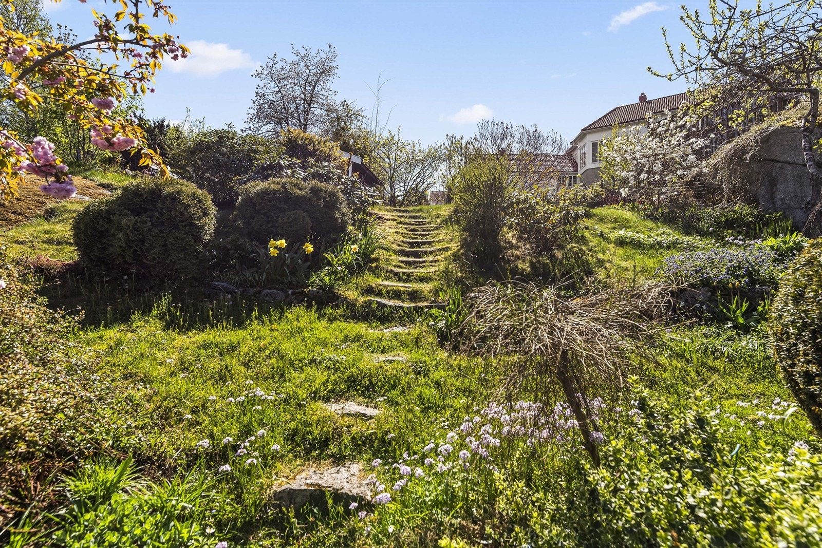 Tomten er skrånende og pent opparbeidet med plen, beplantning og trapper i naturstein. Galleribilde