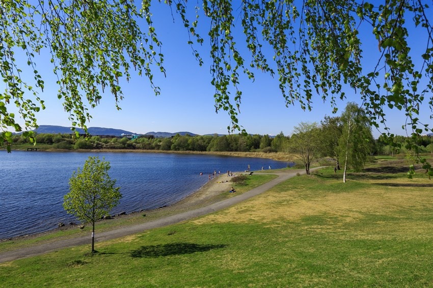 Strand i Koksabukta er kort gange fra leiligheten. Bilfri adkomst. Galleribilde