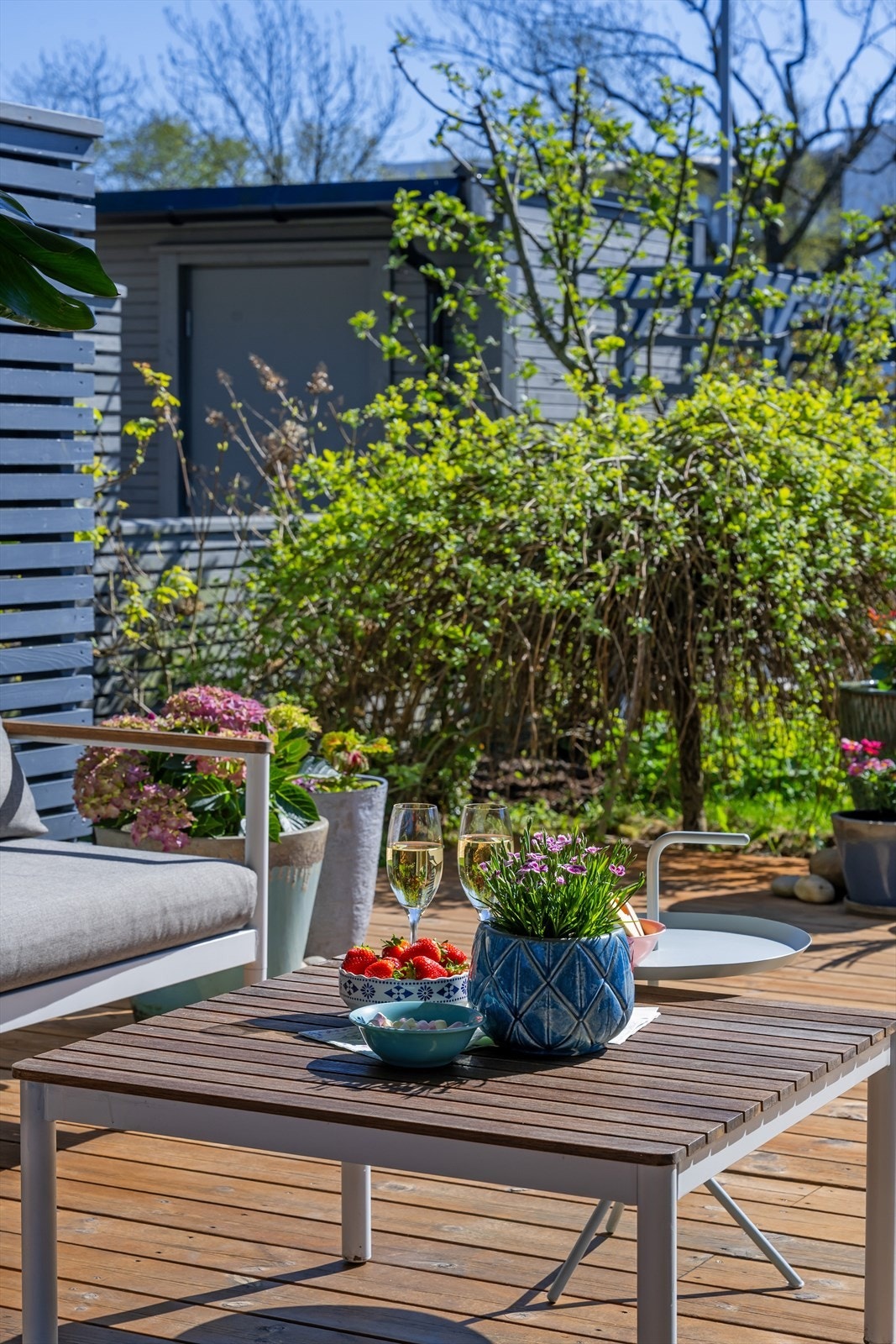 Nyt lange sommerdager i rolige omgivelser. Galleribilde