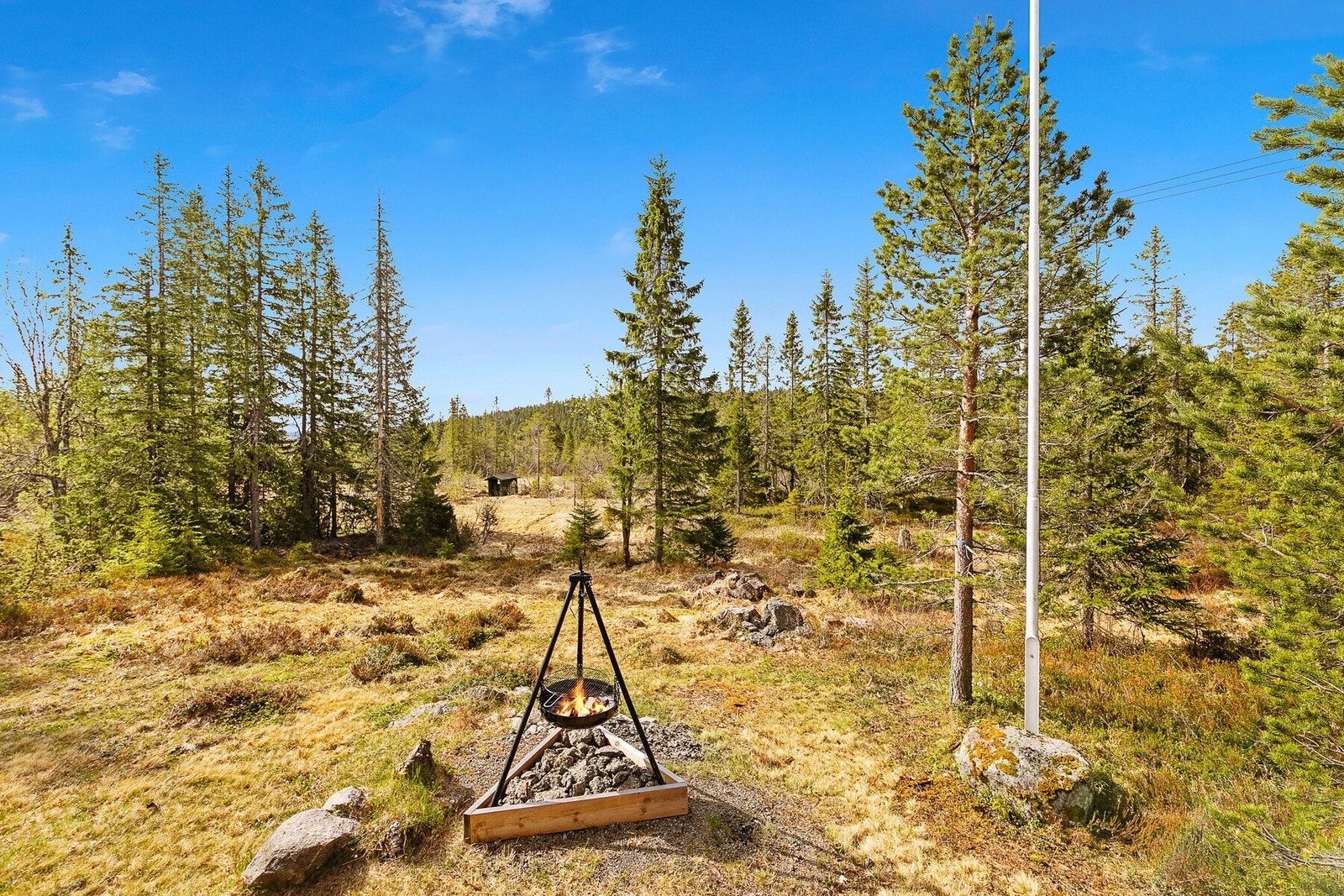 Koselig naturtomt Galleribilde