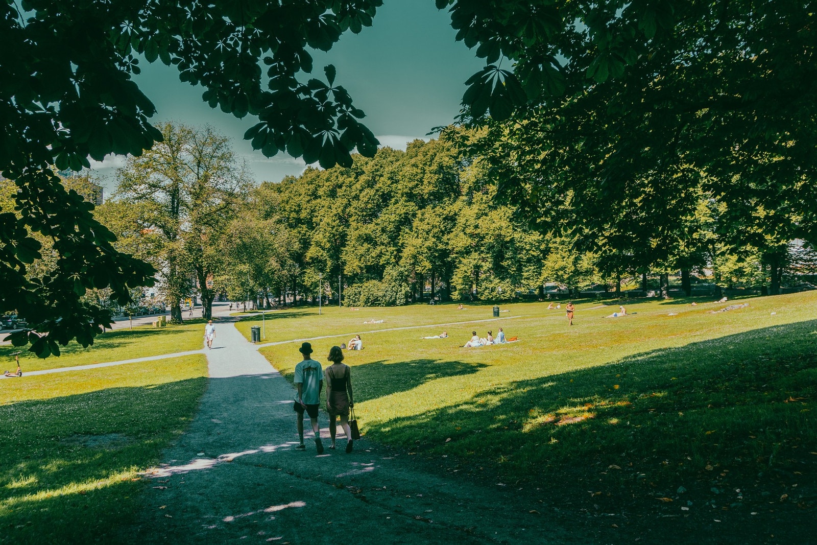 Nærområdet - Botsparken og Klosterenga park med flotte turstier. Galleribilde