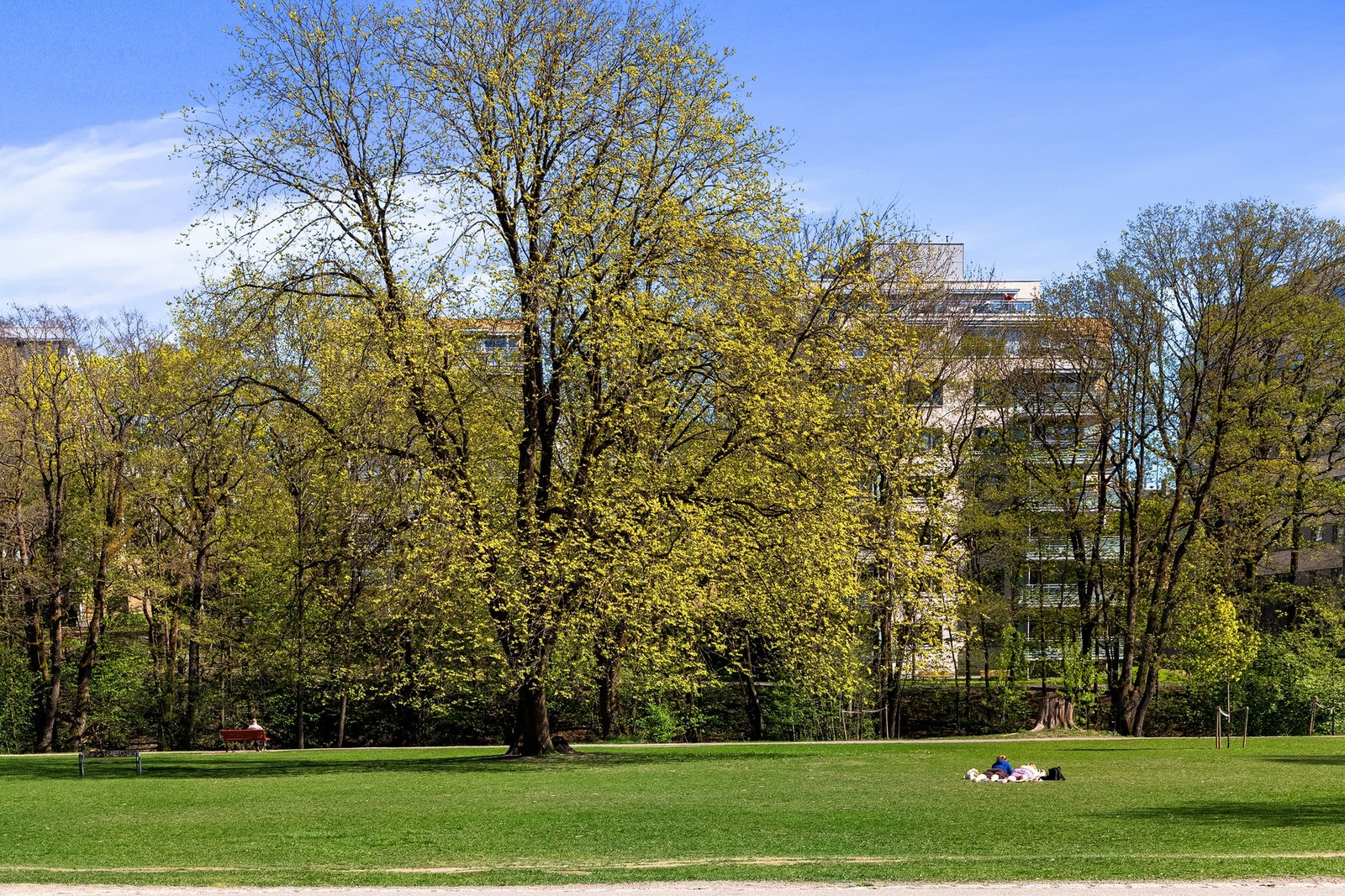 Akerselva byr på flotte turmuligheter sommer som vinter - perfekt for både trening og rolige søndagsturer. Galleribilde