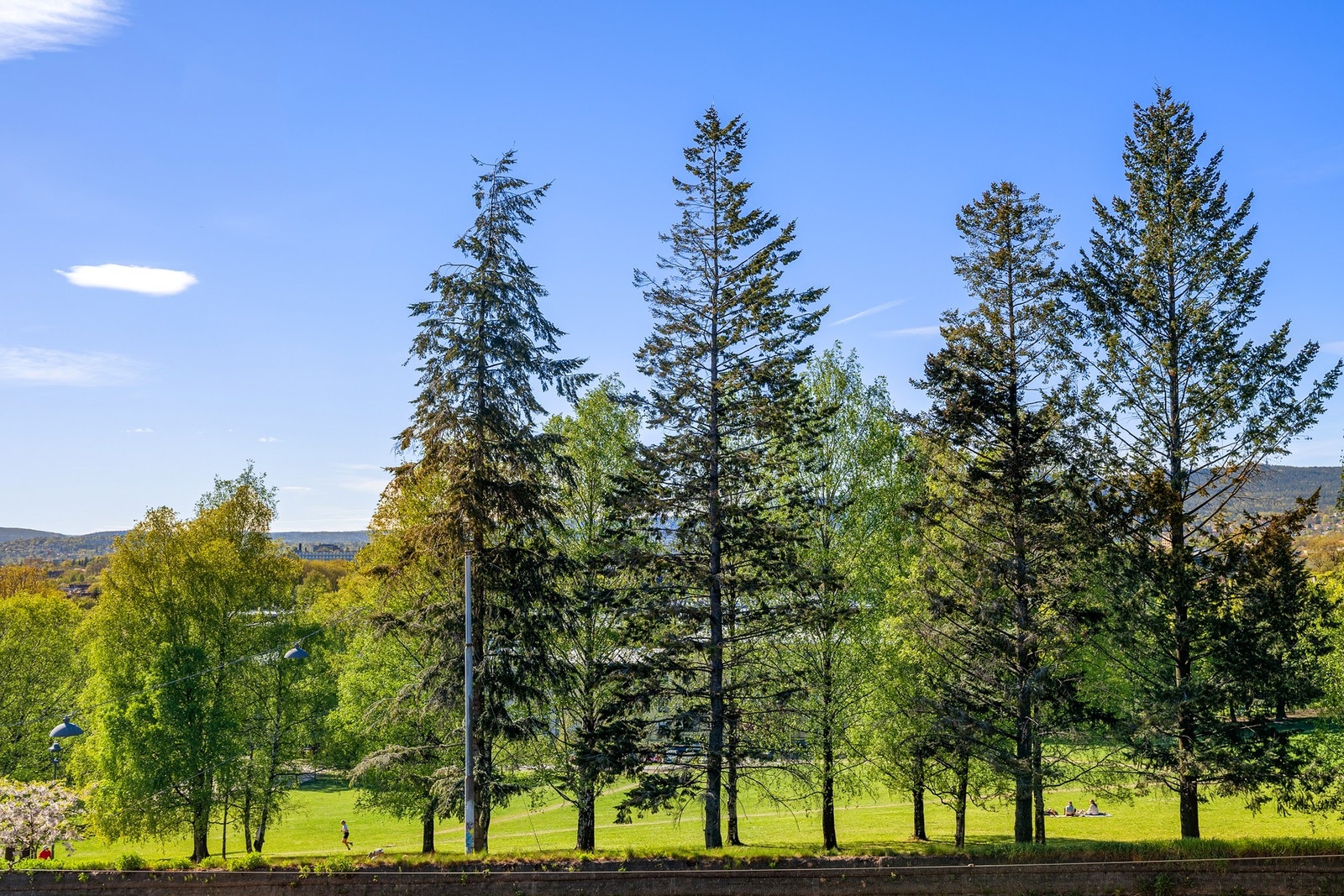 Her ser du rett mot idylliske Torshovdalen! Galleribilde