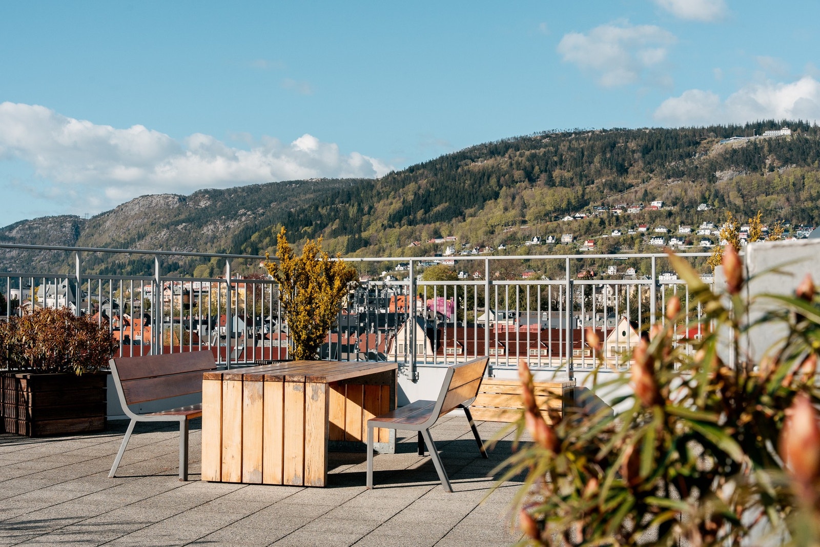 Her kan fine dager virkelig nytes. Galleribilde