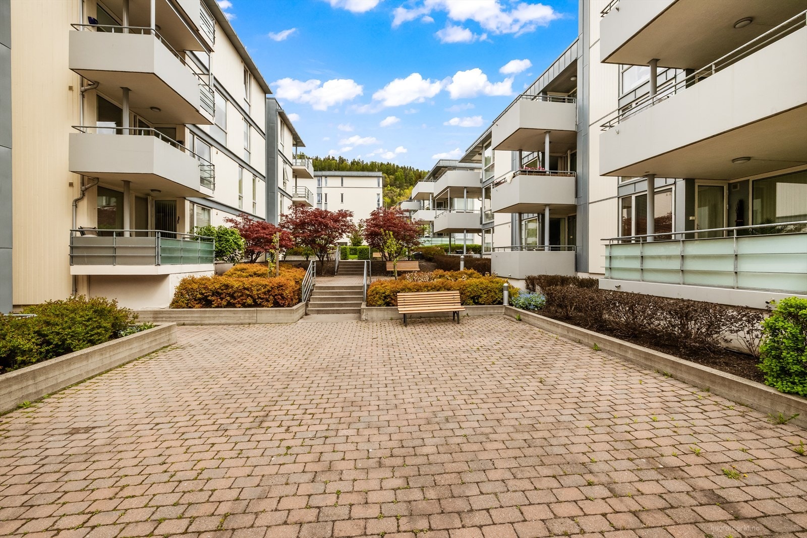 Felles uteområde med sittebenker og beplantning. Galleribilde