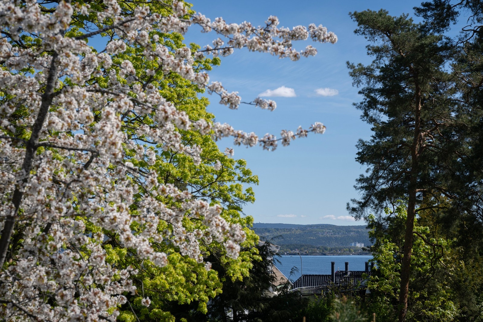 Flott utsikt fra eiendommen. Galleribilde