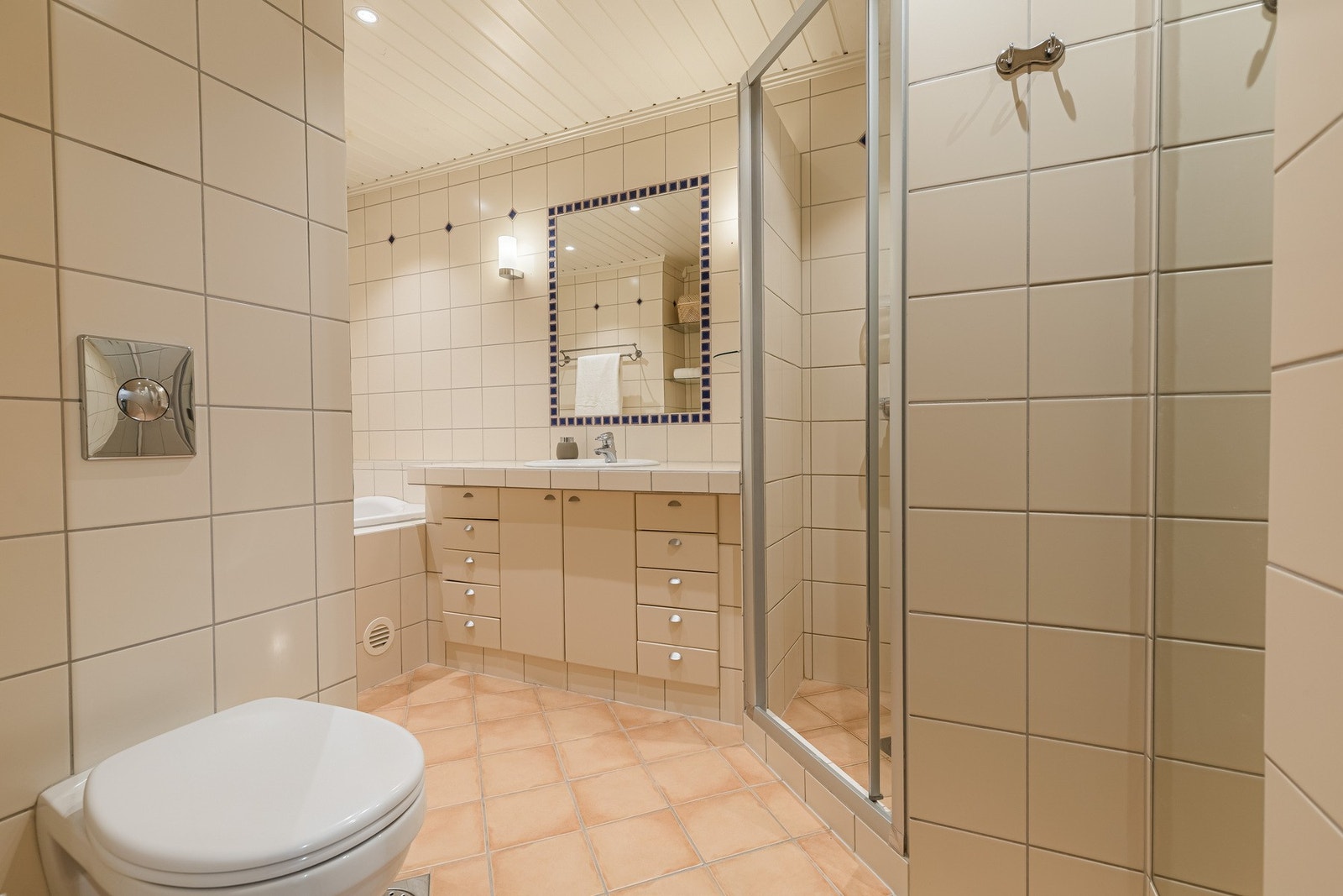 Badet er utstyrt med vegghengt toalett og dusj Galleribilde