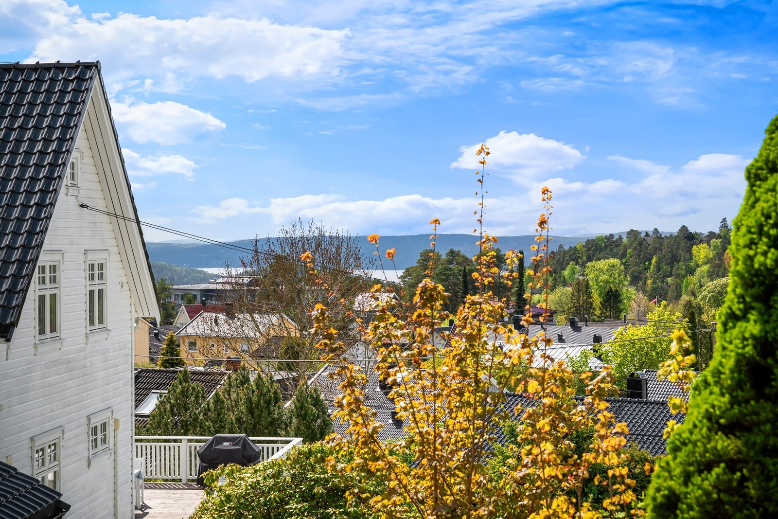 Utsikt fra øvre del av hagen. Galleribilde