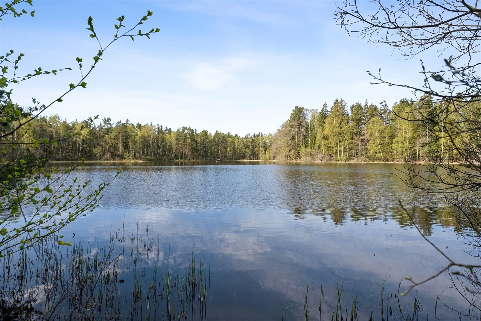 Nyt stillheten og naturen rett utenfor døren. Galleribilde