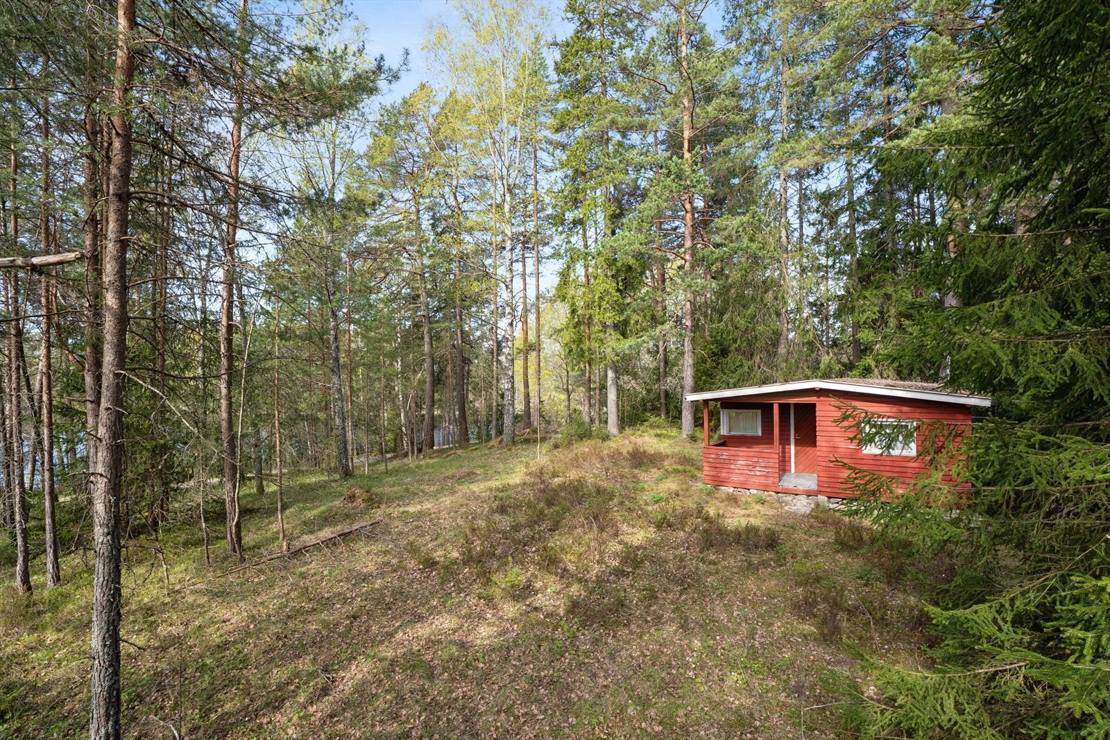 Her ligger en stor tomt, plassert i et etablert og rolig skogsområde. Galleribilde