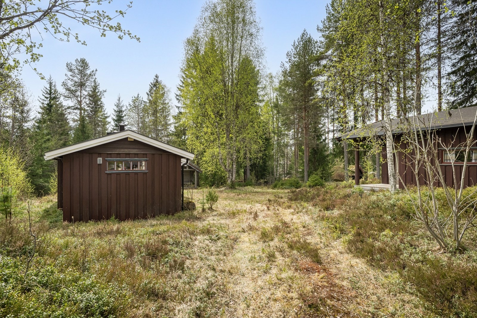 Hyggelig tun og naturtomt med skogens ro rett utenfor hyttedøra. Galleribilde