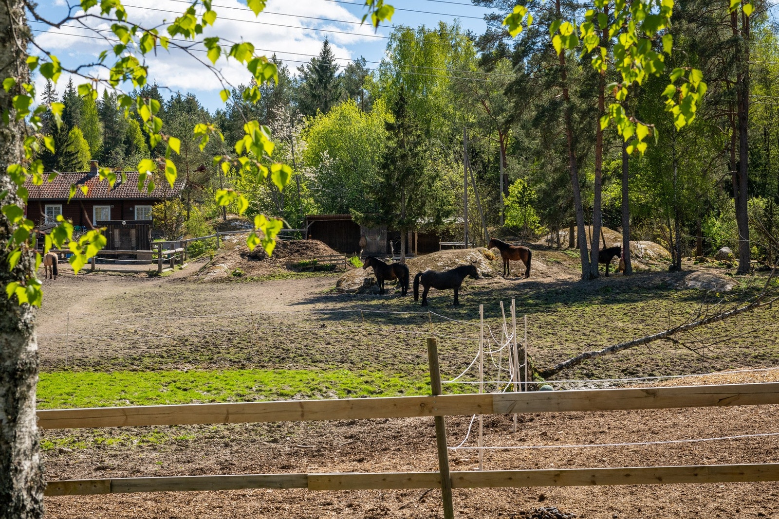 Borettslagets nabo. På vei til lysløypa og Grønliåsen ligger Burud gård er en av de gamle Akergårdene. Parsellhage for Nebbejordet og Rugdeberget borettslag ligger rett ved. Galleribilde
