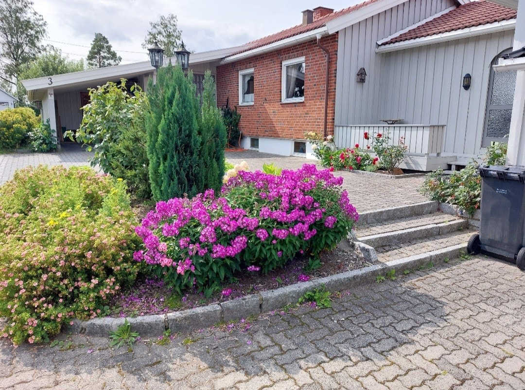 Steinsatt gårdsplass med fine fargerike bed, i forbindelse med inngangspartiet (selgers bilde). Galleribilde