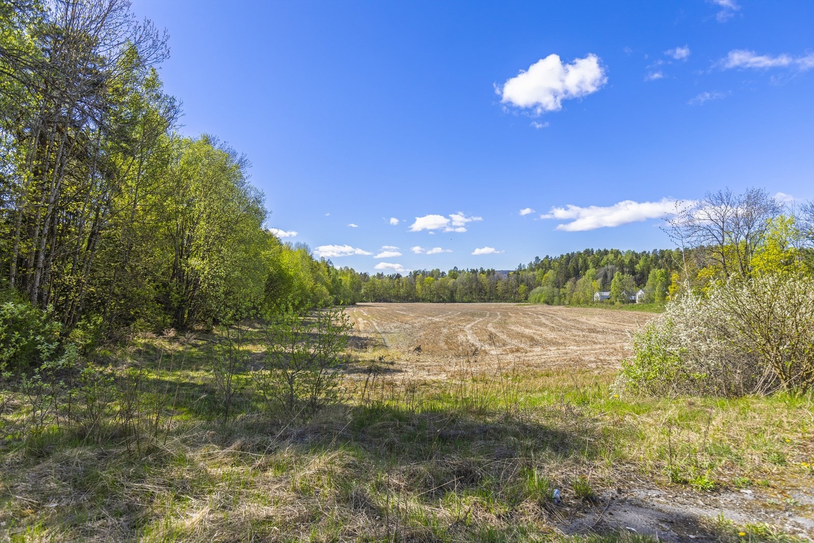 Utsikt fra tomten mot det tilstøtende jordet, som gir en følelse av luft og åpenhet. Galleribilde