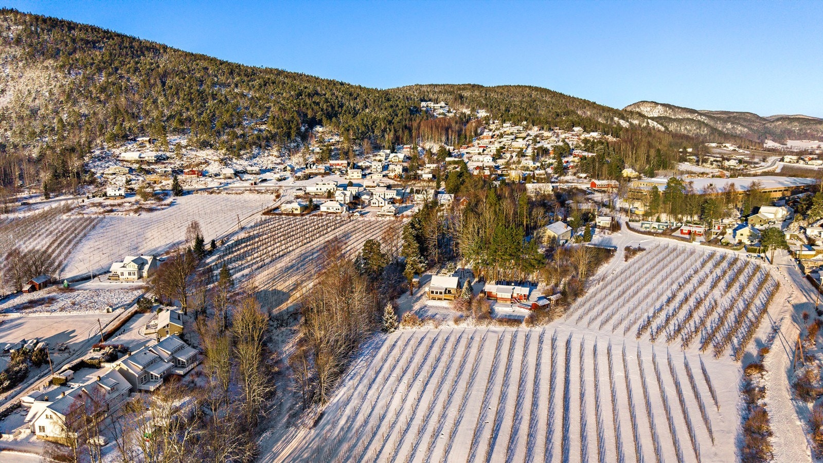Kort vei til Svelvik sentrum med de fleste servicetilbud Galleribilde