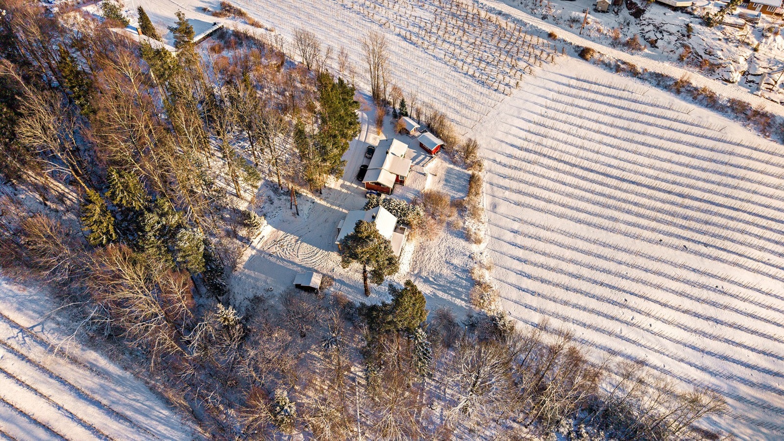 Dronefoto Galleribilde