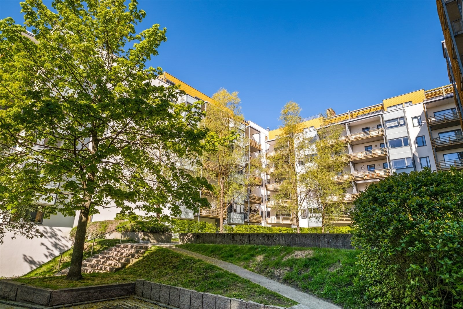 Hyggelig bakgård med grønne innslag og en skjermet beliggenhet. Galleribilde