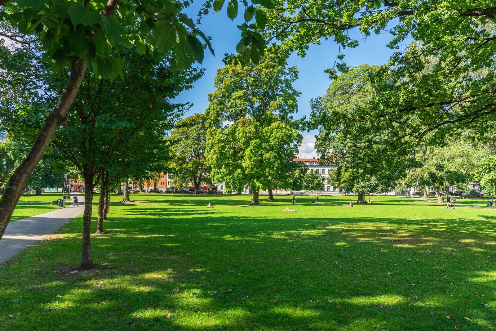 Fra leiligheten har du kort gangavstand til flere flotte parkområder. Galleribilde