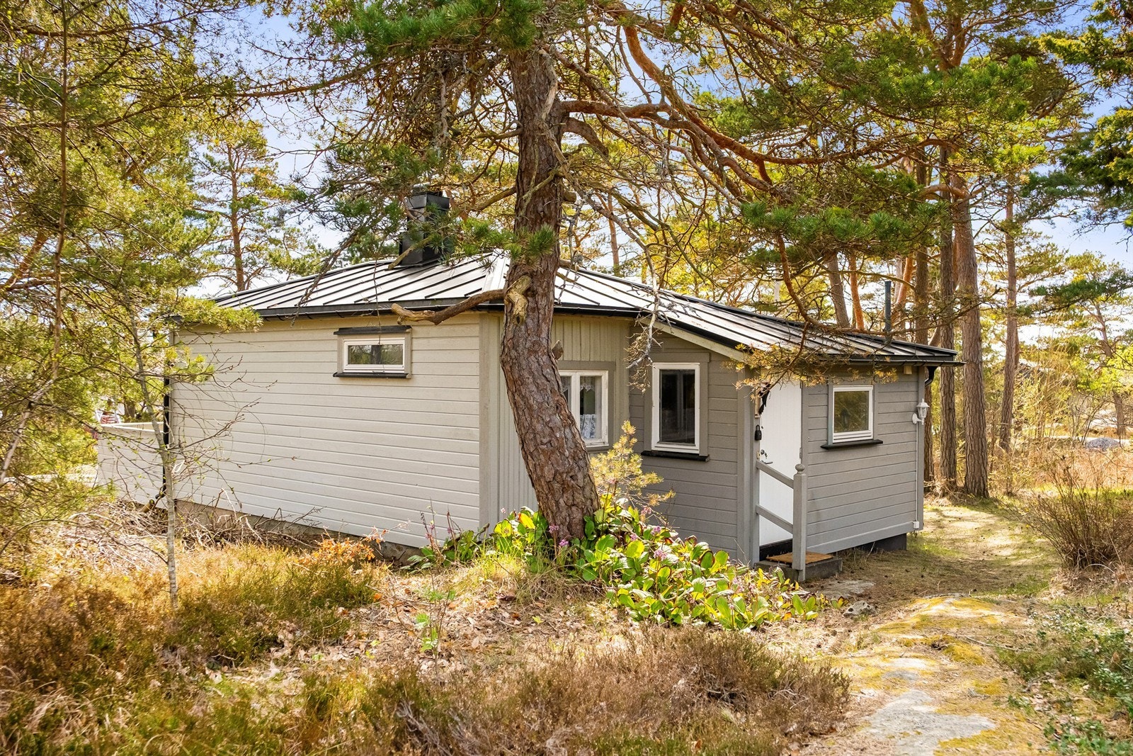 Tomten består nær sagt utelukkende av naturlig grunn og viltvoksende vegetasjon. Her er det intet tidkrevende hagestell å se frem mot. Galleribilde