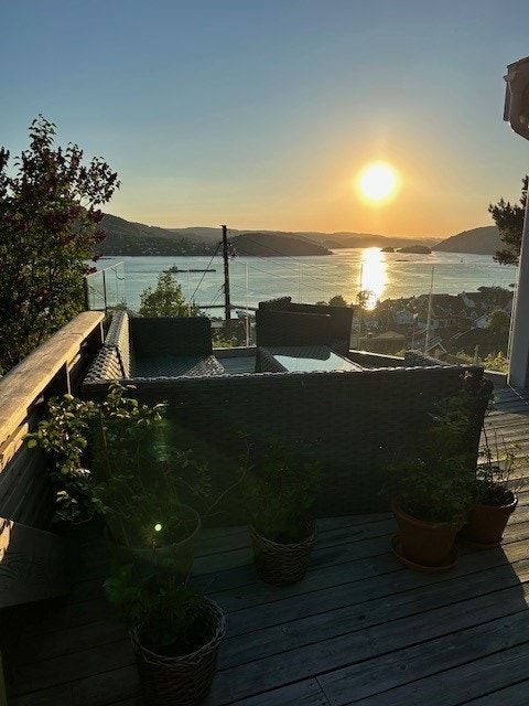 Sommermodus. Selgers bilde! Galleribilde