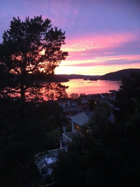 Utsikt fra terrasse nord på kveld. Selgers bilde! Galleribilde