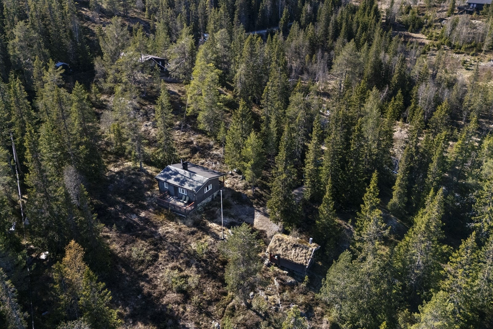 Drone. Galleribilde