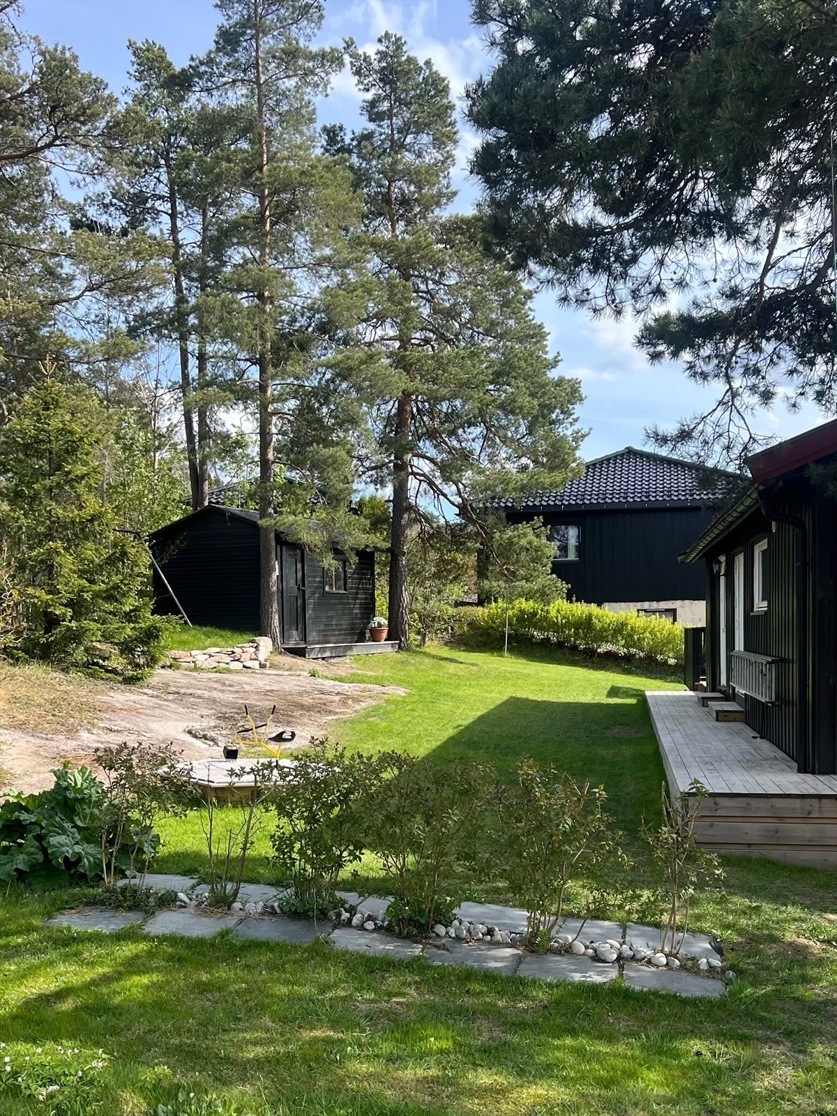 Ren hageidyll på sitt beste - sol, skog og usjenerte omgivelser. Galleribilde