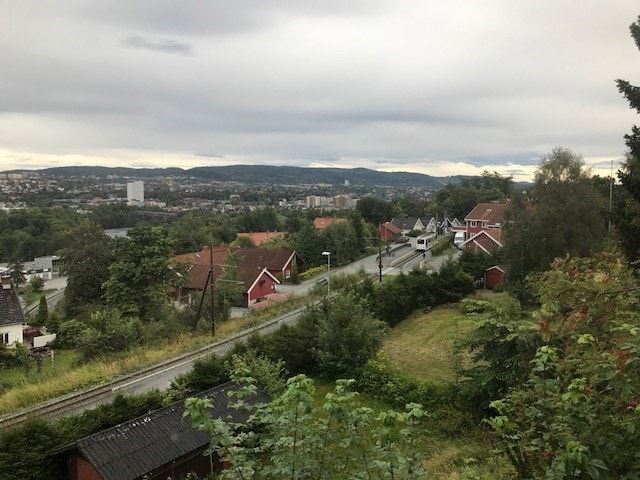 Utsikt. Galleribilde