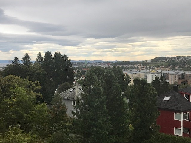 Fra stuen har du utsikt mot byen, og kan se spiret på selveste Nidarosdomen. Galleribilde
