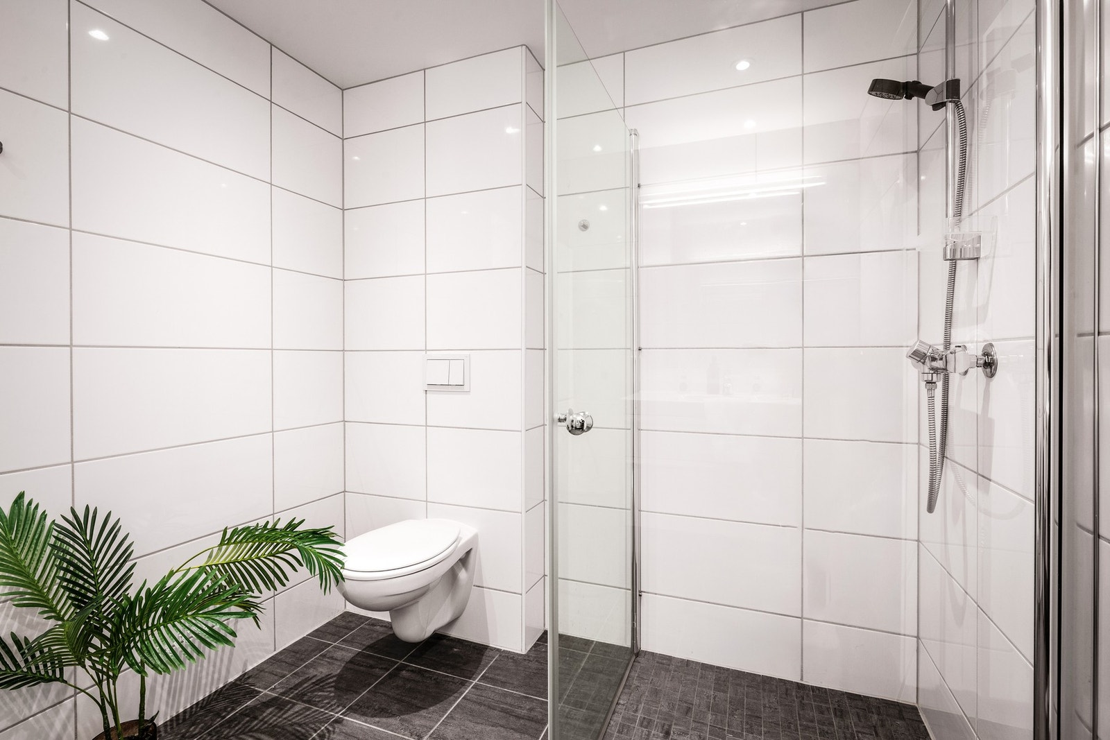 - Badet er innredet med vegghengt toalett, samt dusjdører i klart glass - Galleribilde