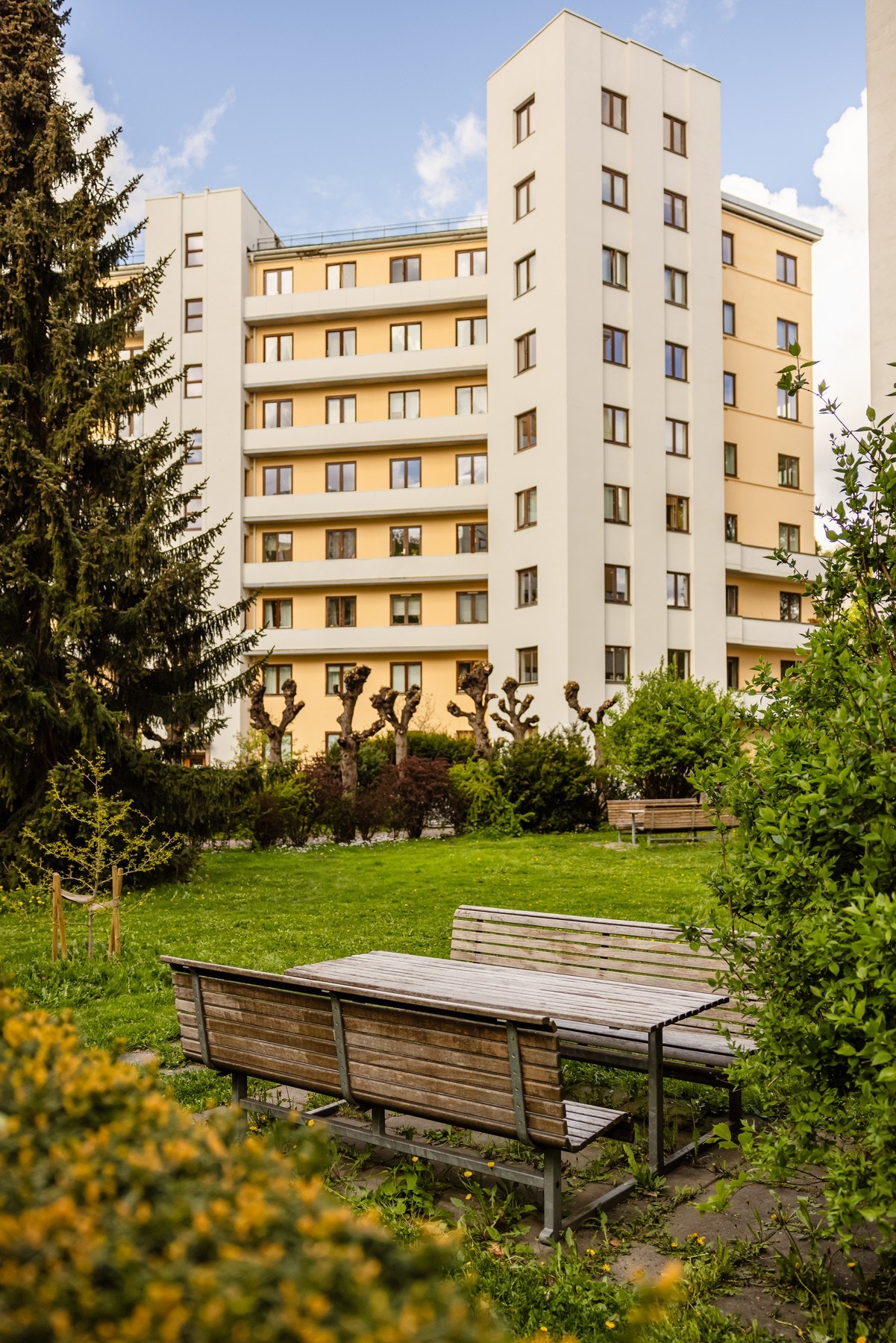 Tomt er opparbeidet med blant annet asfalterte veier, sykkelparkering, lekeplass, sittegrupper, plenarealer og andre forskjellige beplantninger. Galleribilde