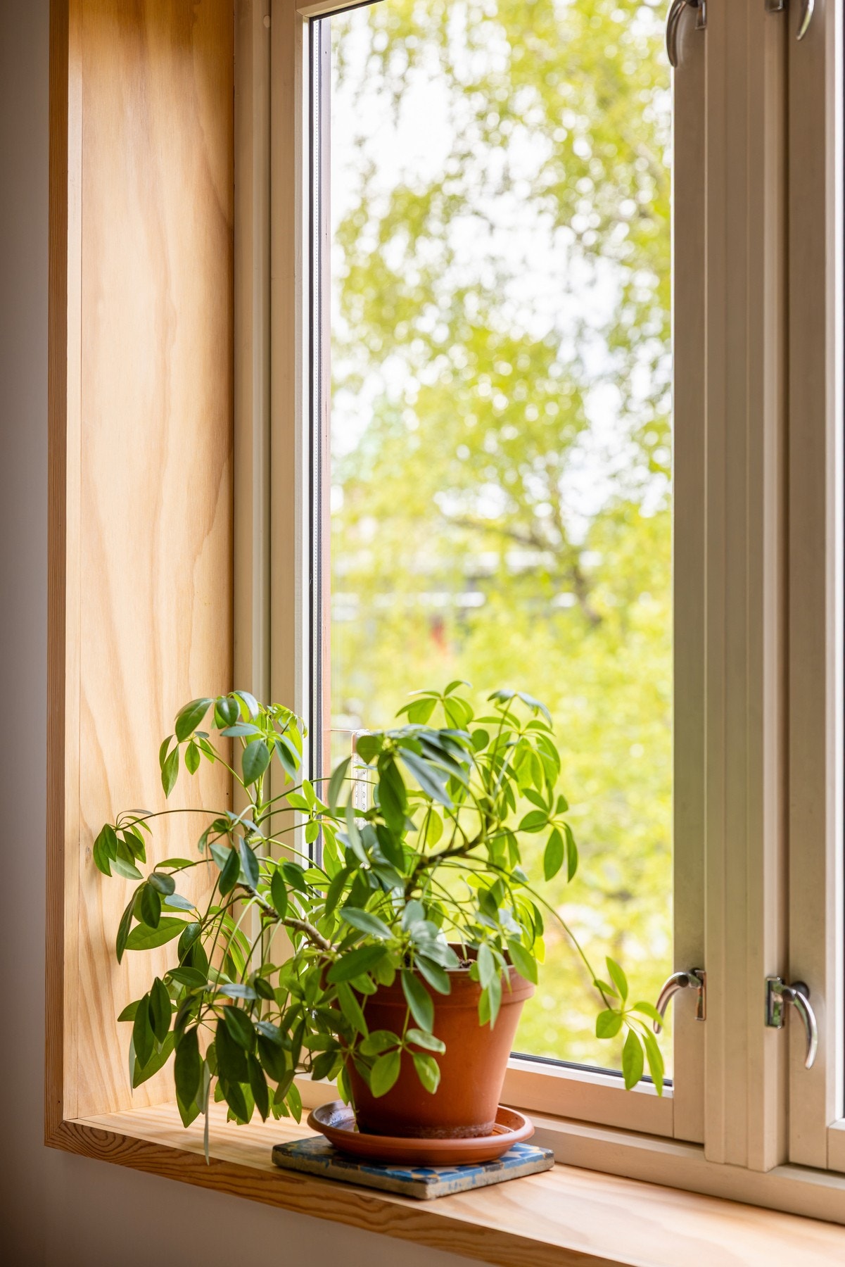 Vinduene er dekorert med treverk og de brede karmene er perfekte for planter og dekor. Materialbruk og lysforhold gir et godt inntrykk. Galleribilde