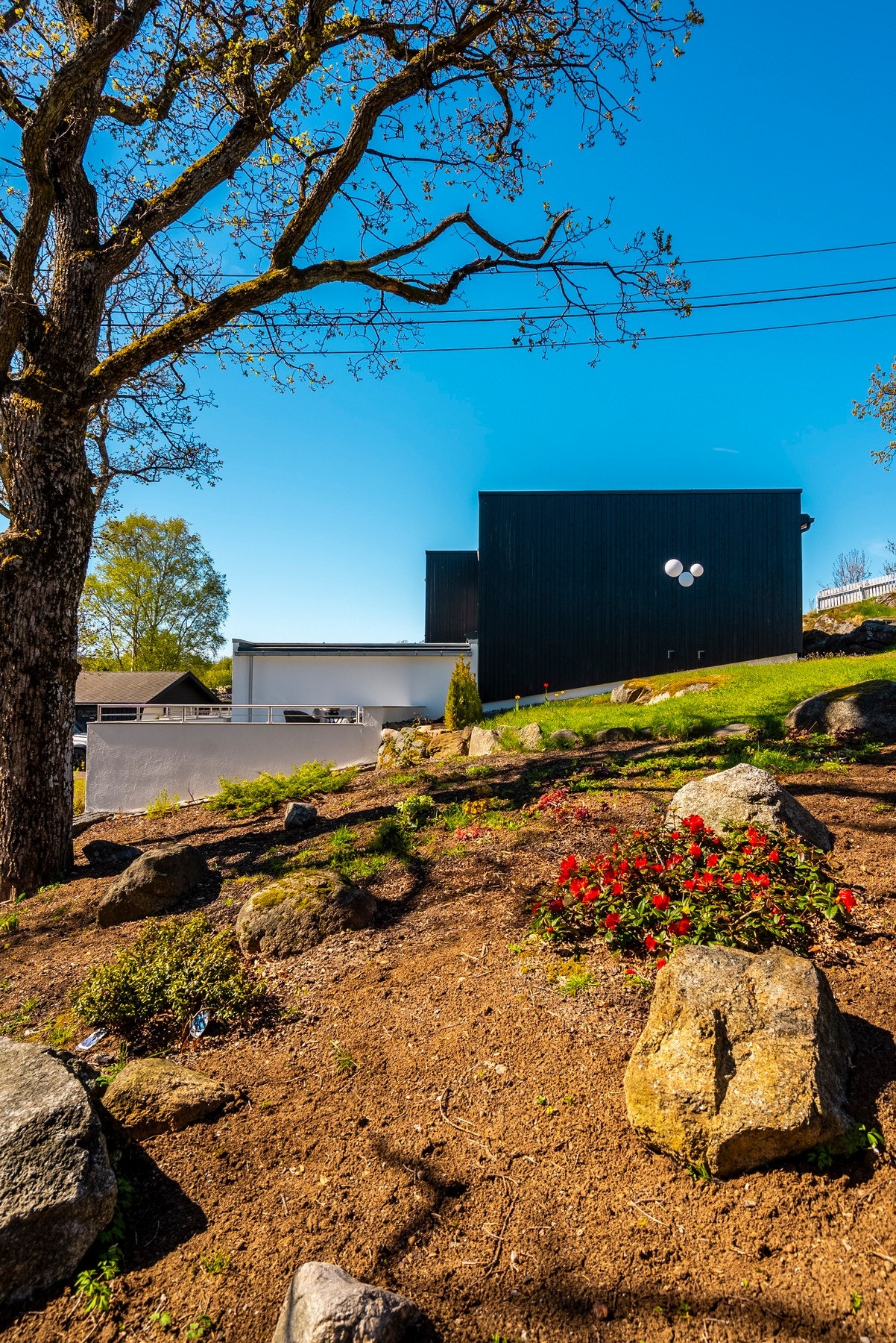 Samt flotte blomsterbed Galleribilde