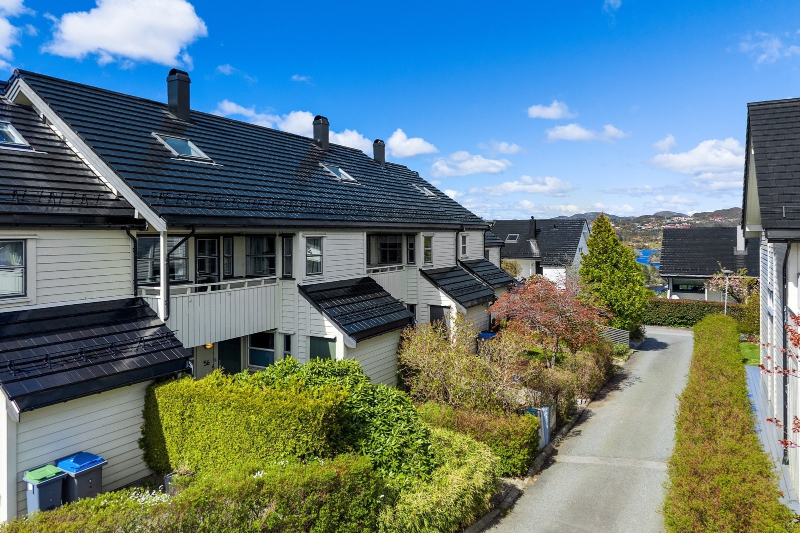 Pent opparbeidede fellesarealer med hekker og beplantning. Galleribilde