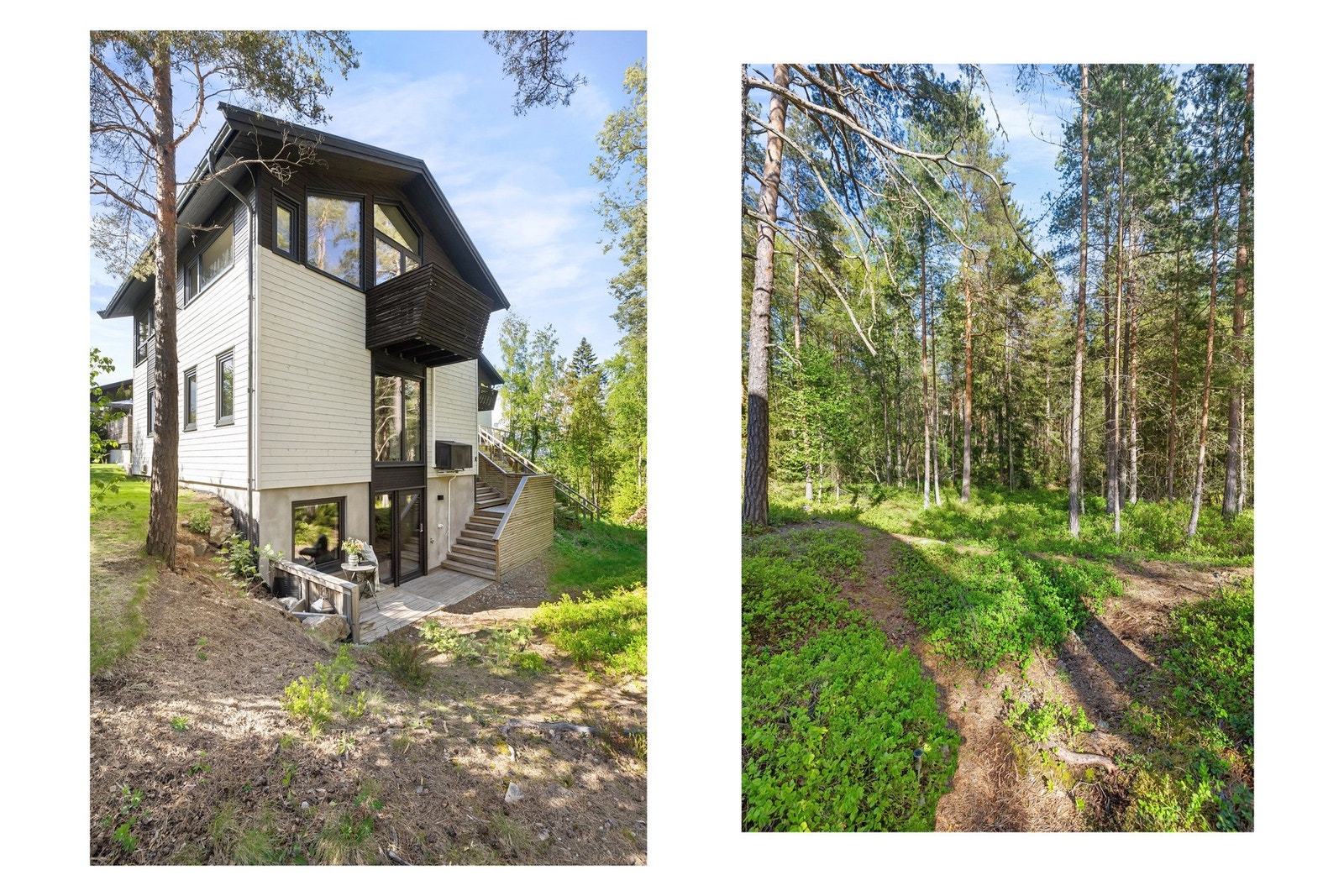 Der boligens uteområder slutter - begynner skogen. "Du kan plukke blåbær og tyttebær i egen hage og gå rett ut på skogstur", sitat selger. Galleribilde
