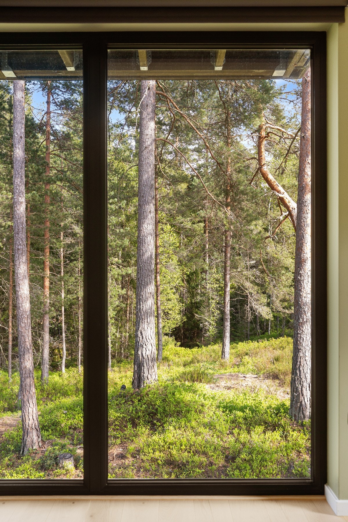 Med denne utsikten er det lett å finne hvilepuls. Galleribilde