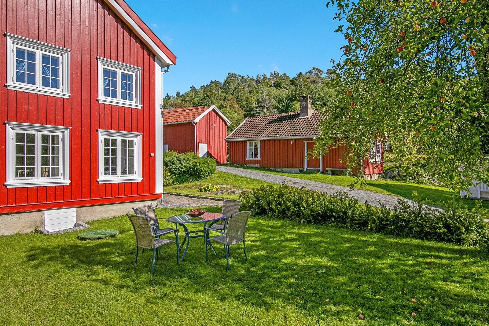 Koselig hage med beplantning og gressplen ved eneboligen Galleribilde