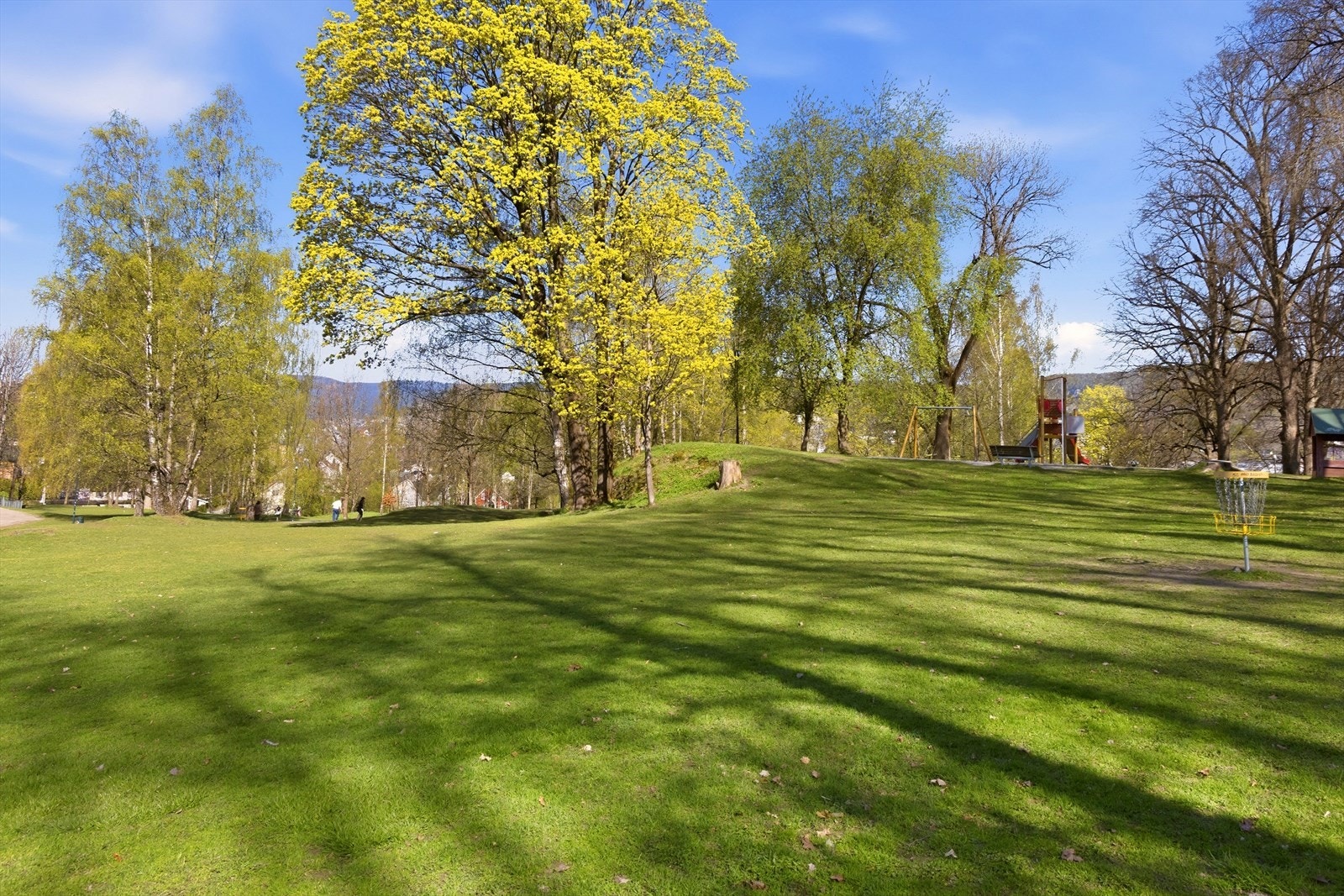 Perfekt området for lek og aktivitet Galleribilde