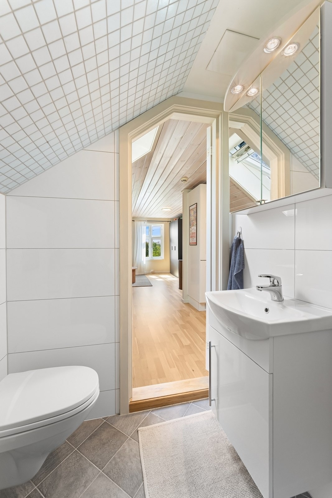 Badet har dusj, toalett, servantinnredning med oppbevaring og speilskap. Galleribilde
