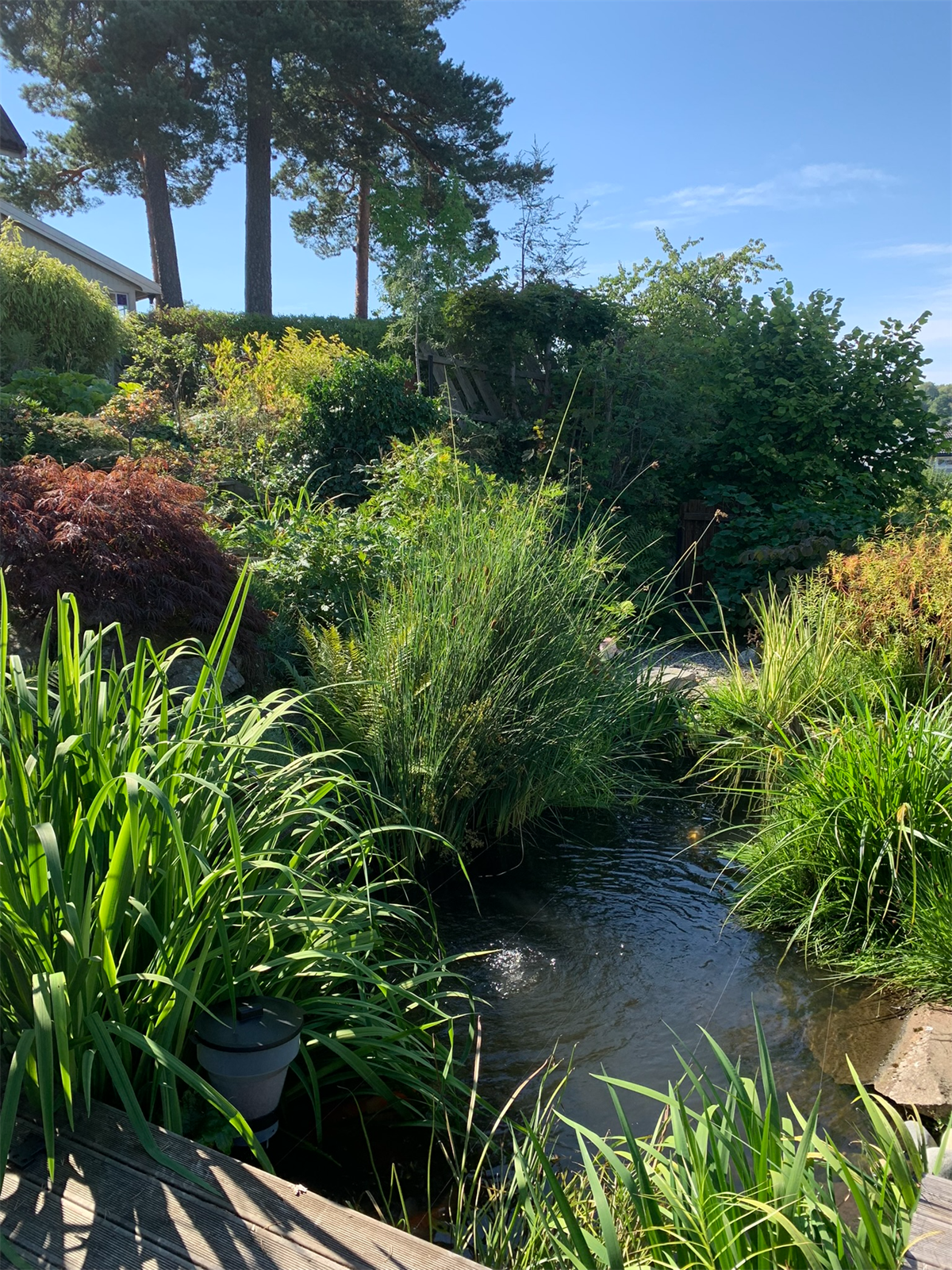 Her får du din egne botaniske hage, med et grønt og planterikt uteområde! Galleribilde