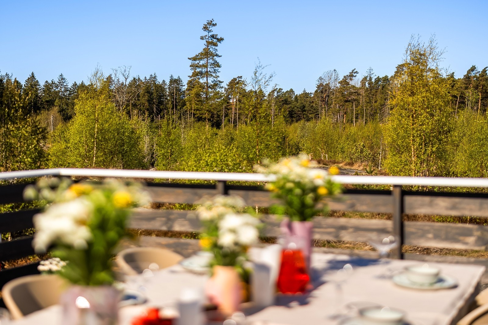 Utsikt over skogkledde omgivelser. Galleribilde