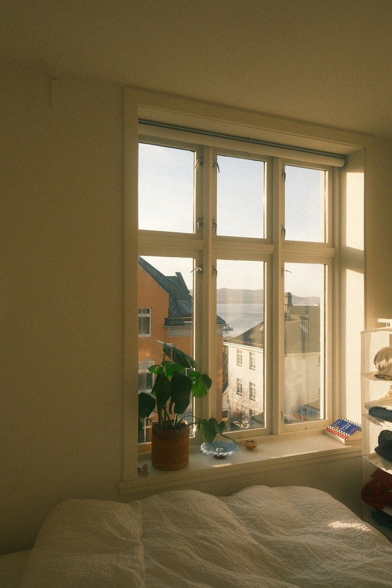 nydelig sjøutsikt Galleribilde