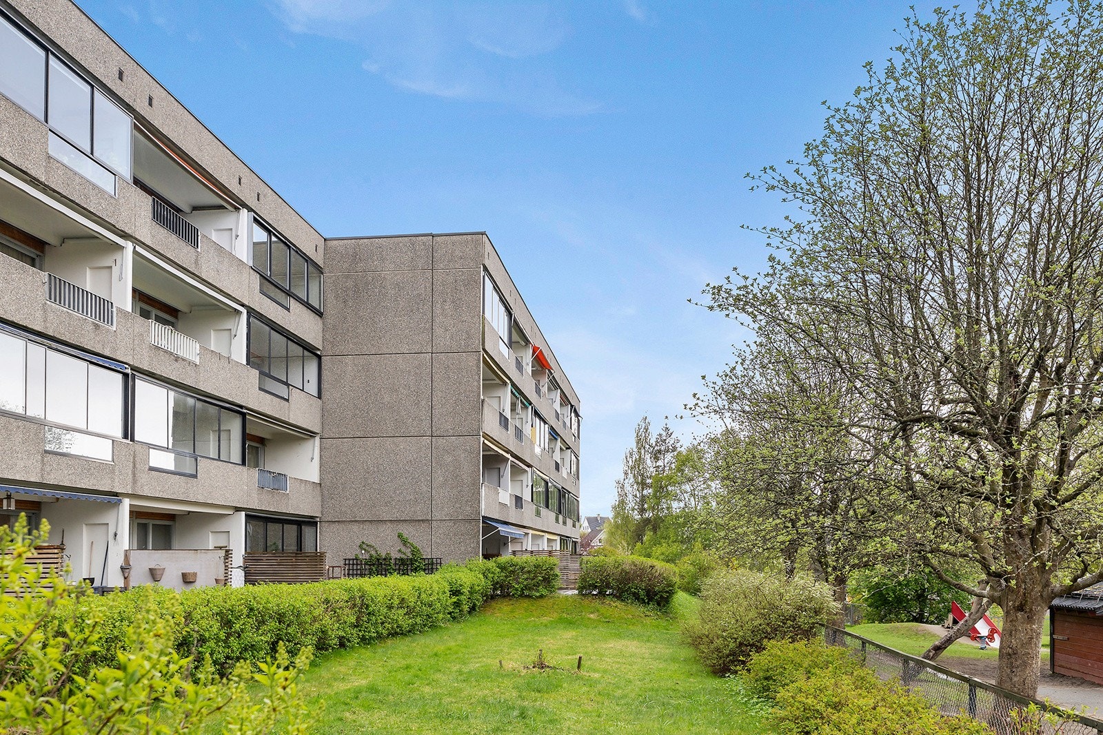 Frodig i front Galleribilde