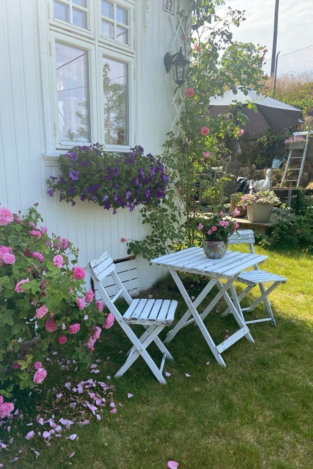 Selgers private bilde Galleribilde