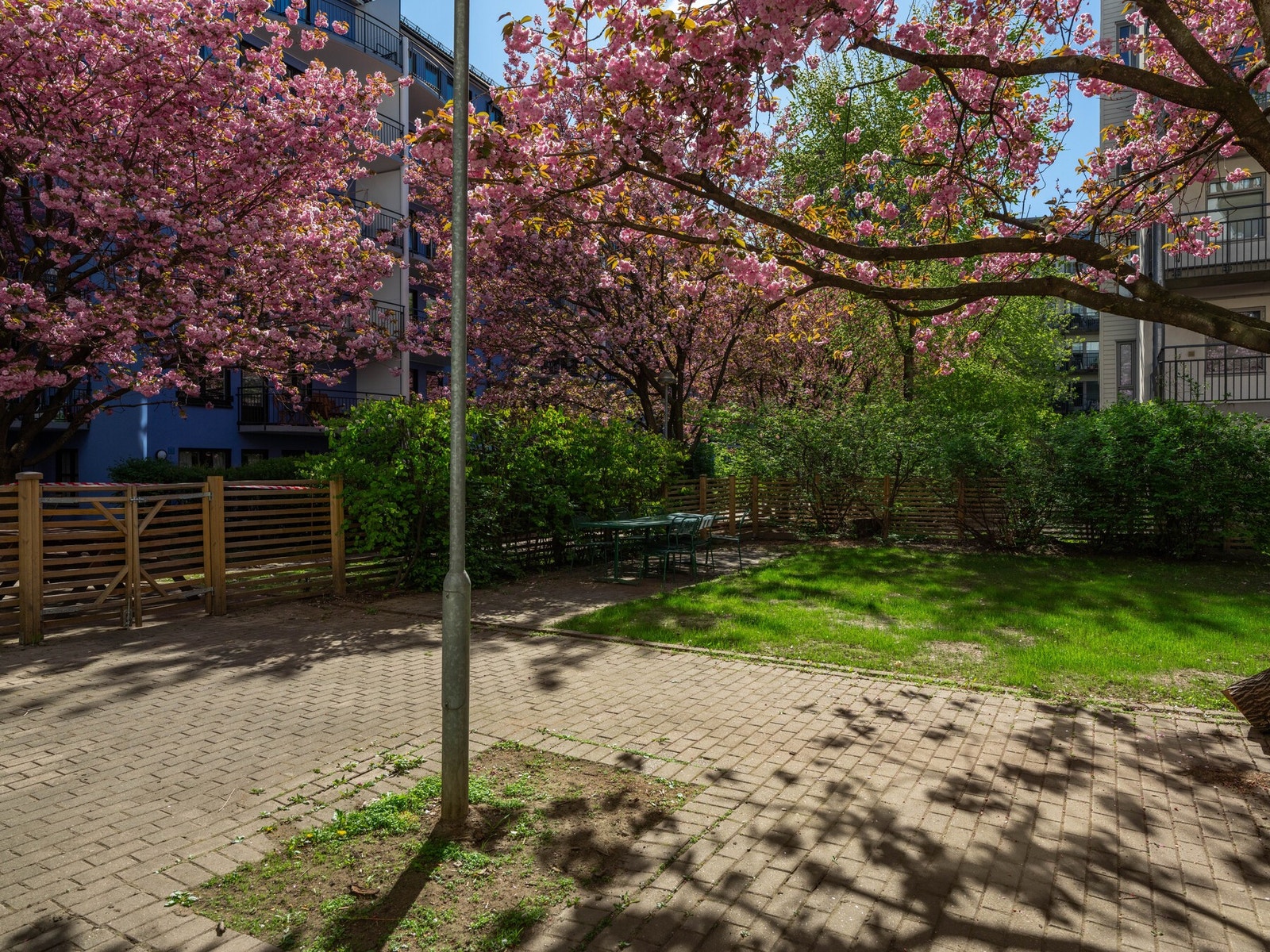 Takk til årstiden som byr på verdens fineste blomstring! Galleribilde